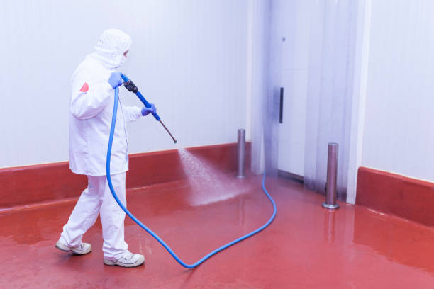 Professional Pressure Washing Services in Woods Creek, WA